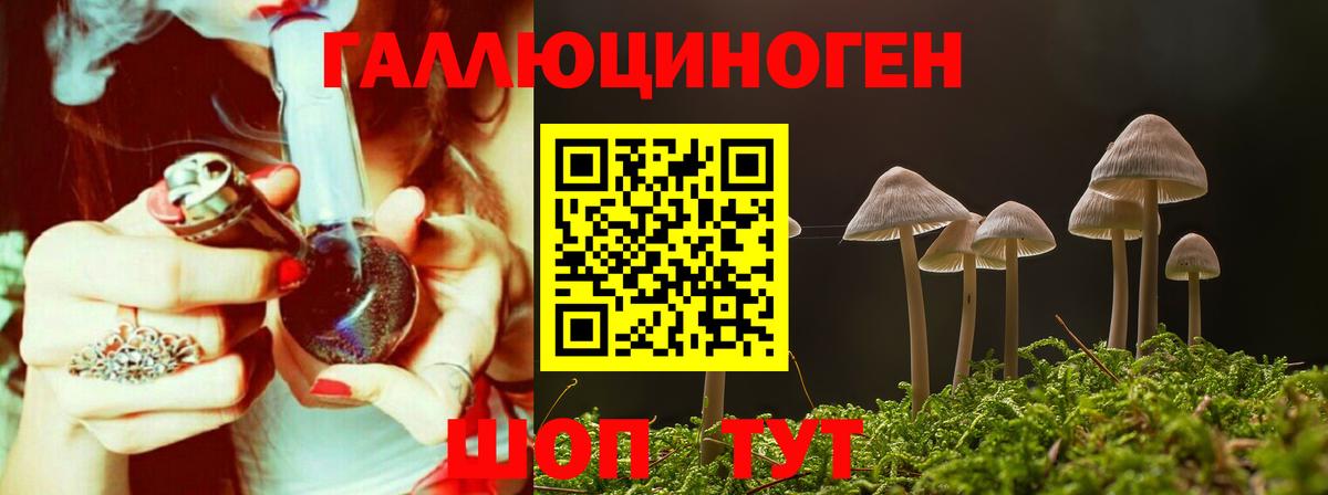 Псилоцибиновые грибы Cubensis Нягань
